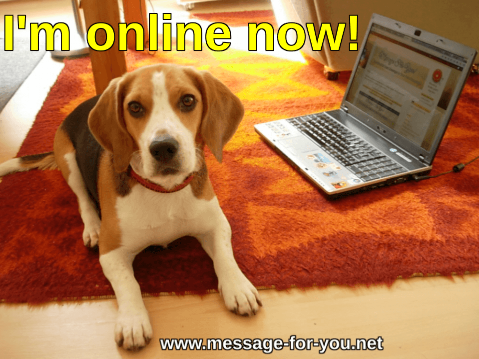 Beagle Dog says Im online now