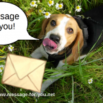 Beagle with Letter Flowers-MFY-2