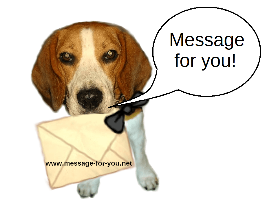 Beagle with letter-MFY-2