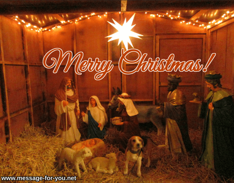 Merry Christmas Dog Beagle