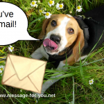 Youve got mail!-MFY-4